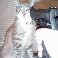 I said "whip that pussy, not shoot it"