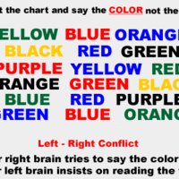 C Wht Ur brain says
