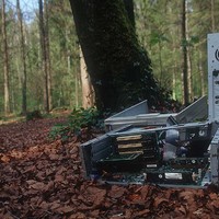 Bodies dumped in the woods..