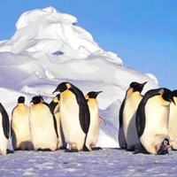 Linux user convention