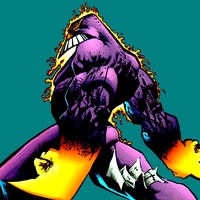 The MAXX