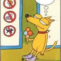 It's a dog's life