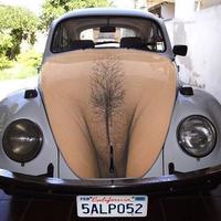 Pussy wagon