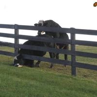 My head is stuck! How could my day get any worse...
