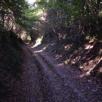Sleepy Hollow