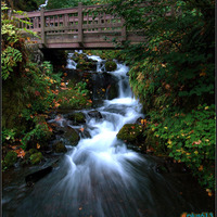 wahkeena falls, columbia river gorge, oregon
