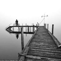 2012 National Geographic photography competition 11