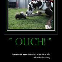 "OUCH!"