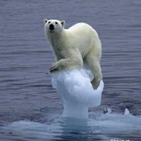 global warming