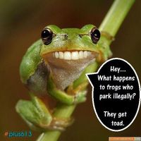 Amphibian Discrimination