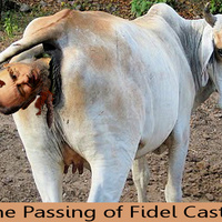 The Passing of Fidel Castro
