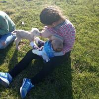 Feeding the kids