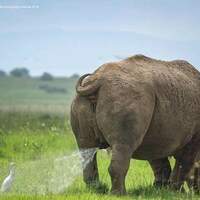 beautiful day for a shower