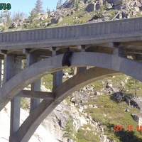 This bear has been posted before...