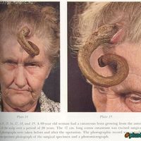 What the fuck?