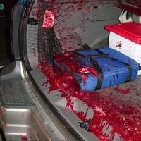 Deer hit
