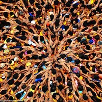 2012 National Geographic photography competition 07