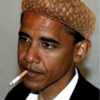 no more tax payer money for the acorn traitors!!!!