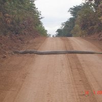 Would you stop or bump over it