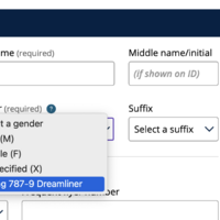 I identify more as an Airbus