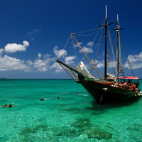 snorkling trip