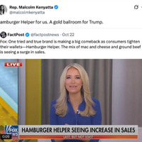 Let them eat Hamburger Helper 