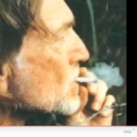 I'll Never Smoke Weed with Willie Again