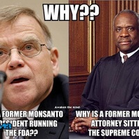 Do you want corporate puppets running your life