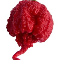 Carolina Reaper - New World's Hottest Pepper