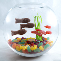 Sweet Aquarium