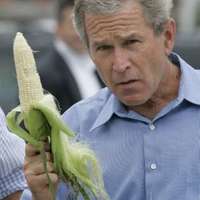 caption contest