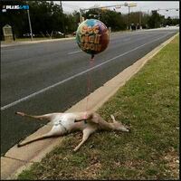 Get Well Soon