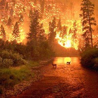 Montana fire