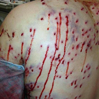 Free tattoo if caught looting in Texas!