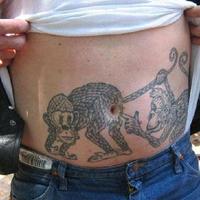 Funny Monkeys