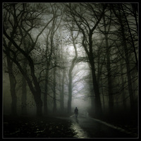 The long walk home