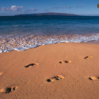 Foot prints