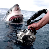 Once in a lifetime shark picture