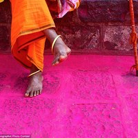 2012 National Geographic photography competition 10