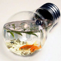 fishbulb