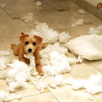 Busted !