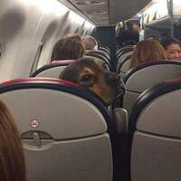 keep it down back there would you?