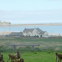 south shields