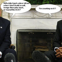 Trump the Con Man 