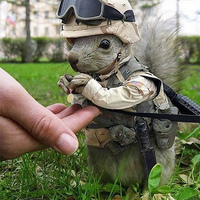 private nut
