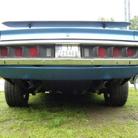 name that ass