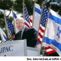 Sympathizer McCain 