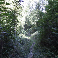 Secret Path