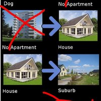 Why Not To Get A Dog