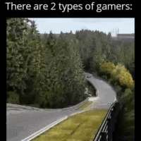 which are you?